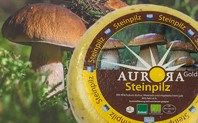 Sahniger Steinpilzkäse aus Bioland - Milch