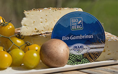 Gambrinus Heumilch Brie – jung, frech, einzigartig
