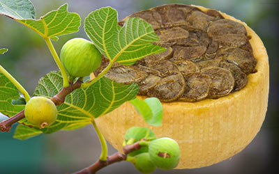 Erlebe den Frühling Pur mit Feige & Aprikose