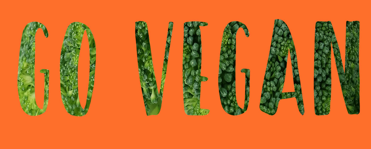 Veganuary mit innovativen, ökologischen Angeboten